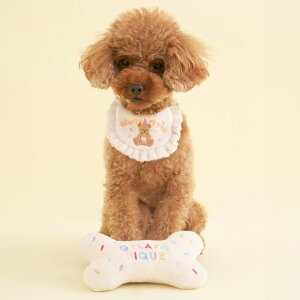 (28Ԍ|Cgő10{)WF[gsP gelato pique CAT&DOG Birthday X[YB[o[Xf[X^C pagg259133 WFsP hbOEFA LbgEFA p Lp a LOBe 2025H Mtg