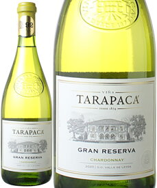 タラパカ　グラン・レゼルバ　シャルドネ　[2020]　＜白＞　＜ワイン／チリ＞　※ヴィンテージが異なる場合があります。