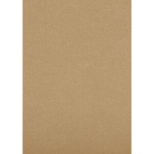 gXR TRUSCO i{[V[g 210x297 DS2129