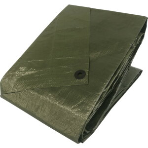 ^JCN #3000 ODO[V[g 2.7mx2.7m OGS-04