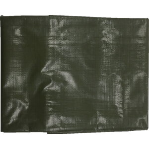 ^JCN #4000 ODO[V[g 2.7m×3.6m OGS-405