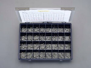 GXR EA758ZZ-100 125VE250V/5.2E6.4mm ǃq[YZbg