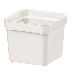 _XIɃ|Cgő10{^ }g vg|bg p2 0.08L zCg