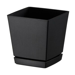 _XIɃ|Cgő10{^ }g NG`[|bg Mt4 0.6L ubN