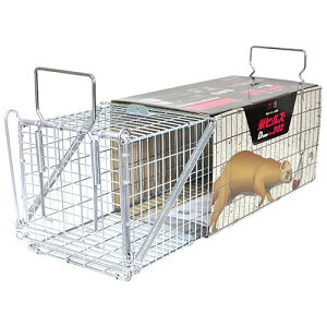 _XIɃ|Cgő10{^ hqY ߊlDtypeNO.202 IT-2