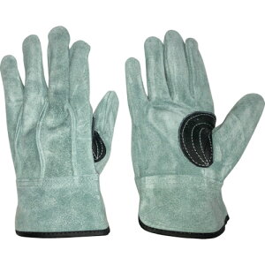 ӂ ICv V Aet L K-495-L