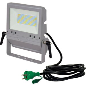 �_���X���T �S���i�|�C���g�����10�{�^ �j�`�h�E NICHIDO LED������ ��Ɨp�t���b�g���C�g50W LEN-FH50D-SL-50K
