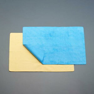 GXR ACIiAIONj EA929DB-209 430x325mm ԃ^I(2)