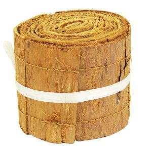 ^JV[ {犲ee[v 10CMX4M