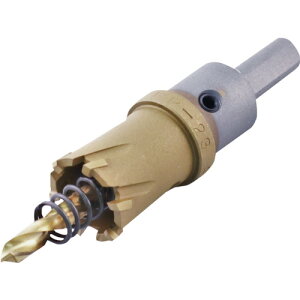 _XIɃ|Cgő10{^ Gr dz\[(`^R[eBO) 21mm HO21G