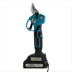 _XIɃ|Cgő10{^ A~X }؃bY EDT-25M