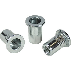 �G�r ���[���b�g�i�b�g(�����E�X�e�B�[����) ��2.5 M4×0.7(1000��) NSD4MR