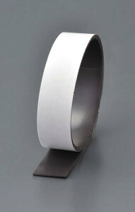 �G�X�R EA781BR-12 25x2mm/ 1m ���̓}�O�l�b�g(���S���t)