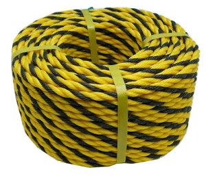 GXR EA983DS-2  8mmx50m W[v