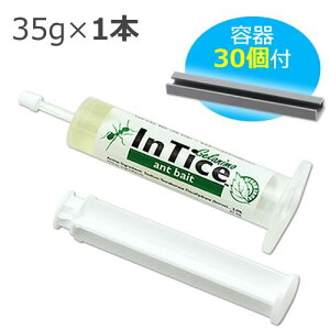 A쏜E WF܃WFjAgxCg 35g + WFXe[V 30NA a 쏜 Ɩp A쏜 xCg Q^Cv    ގ WF xCg et WF