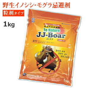 JJ{A 1kg CmVV΍ ǔL nNrV ^kL ACO} O ^Cv Uz ؃R 쐶̂΍