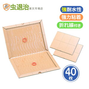 (40P)˂݋쏜 SV[g ϐ^CvObgv N(20×2) ՂS lY~쏜 lY~߂ V[g Ƃ S Gꂽ ~[ lY~ގ 쏜 ߊl ˂ݕ߂ ˂