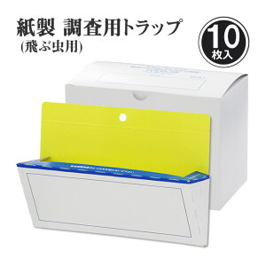 ^ Ǖt nGg  nGgbvnGJg[ 10nGƂ莆 RoG ߊl Uܖ SV[g uF 򗈒̕ߊl  Q쏜 nGߊl쏜 ĝ Sߊl J