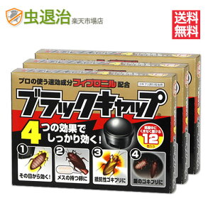 ���U�� �S�L�u���쏜�� �u�������ŉa�S�L�u���E���� �u���b�N�L���b�v 12��×18�� ��򕔊O�i ��R���S�L�u�� �쏜 �����p18�� ��������