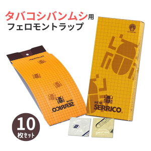 j[ZR 10Zbg j[A /^oRVoV쏜 ߊl VoV ^oRVoVptFgbv xmt[o[ ʏ݌ɕi 