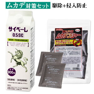 Jf΍Zbg Jf쏜 { Jf TCx[0.5SC 900ml + uJfW[ 1(12) Jf쏜 TCx[ t E n O Jf悯  O Nh~ Xv