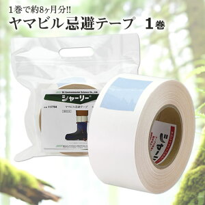 g }re[v V[[ 1 30mRr g  Se[v y}r z\h q悯 ы C  R AEghA n Ro oR S_e[v e[v 