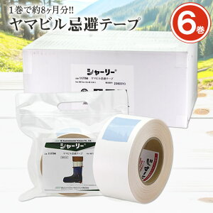 (P[X̔) g }re[v V[[ 30m×6 Rr g  Se[v y}r z\h q悯 ы C  R AEghA n Ro oR S_e