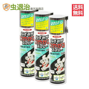 ܂Ƃߍw24{ ˂݋쏜 ǂXv[ ˂݂₪Xv[ 320ml×24{ nbJ ˂݌ lY~ގ CJ