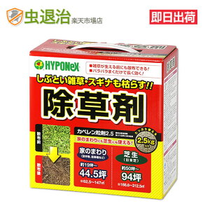 ^Cv Ő Jy2.5 (2.5kg) { ŐOK G쏜 ʎI