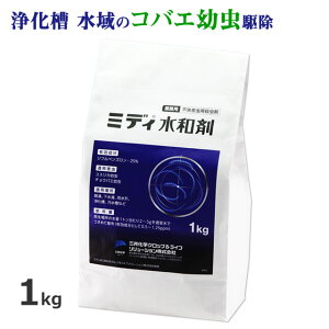 EjQ ~fBa 1kg Ɩp XJ `EoG 쏜E WtxY 25% f~Ɠ