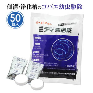 RoGc쏜 ~fBA 1 (1×50) ^Cv `EoG m~oG RoG 򉻑 r 쏜 1