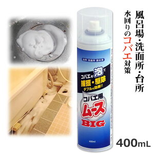 RoGp[XBIG 400ml`EoG쏜 RoG쏜Xv[C  Gv Lb`  r RoG쏜 傤΂ ގgC r O[`O ~[ HX ʑ R