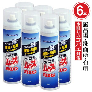 p6{ `EoG쏜 RoGp[XBIG 400ml×6{ C  Gv Lb`  r 쏜 傤΂ ގgC r O[`O ~[ HX ʑ RoGcE