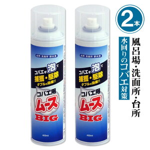 2{P RoGp[XBIG 400ml×2{ C `EoG RoGC  Gv Lb`  r 쏜 傤΂ ގgC r O[`O ~[ HX ʑ RoG