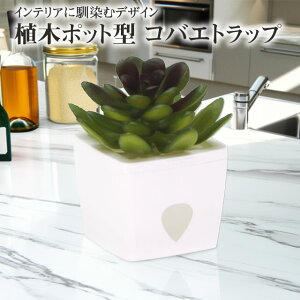 (Uܕt) ƖpRoG߂ 킢 ~jA؃RoGgbv [h][Y (TfB/F)A؃|bg ΂ VEWEoG m~oG UߊlCeAɓ Lb` H