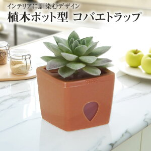 (Uܕt) Ɩp RoG߂ 킢~jA،^RoGgbv [h][Y/^rT(F)RoG쏜 A؃|bg ΂ VEWEoG m~oG UߊlCeAɓ L