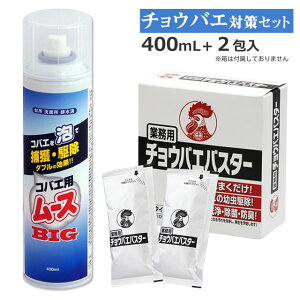 風呂場 コバエ駆除セット コバエ用ムースBIG 400ml+チョウバエバスター 25g×2包 排水 水回り コバエ チョウバエ 駆除 お風呂場や排水口のコバエ対策エプロン内部 キッチン 流し台 排水 コバエ