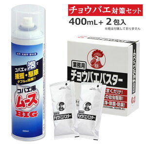 コバエ チョウバエ駆除セット コバエ用ムースBIG 400ml+チョウバエバスター 25g×2包排水 水回り コバエ チョウバエ 駆除 お風呂場 排水口 コバエ対策エプロン内部 キッチン 流し台 排水 コバエ