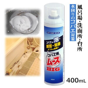 RoGp[XBIG 400ml `EoG쏜 RoG쏜Xv[ C  Gv Lb`  RoG쏜 傤΂ ގgC r O[`O ~[ HX ʑAŎE