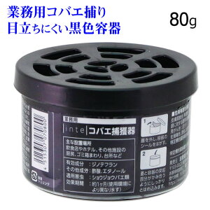 Ɩp inte RoGߊl 80g ~[  VEWEoG ΍ RoG쏜 RoGgbv RoGƂ RoG߂ RoG nG߂ ΂ Uߊl S~ RoG쏜 E Lb` 