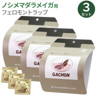 (メール便)ガチョン フジトラップ 3セット お試し【ノシメマダラメイガ】台所を飛ぶ小さい蛾 お米 ぬか …