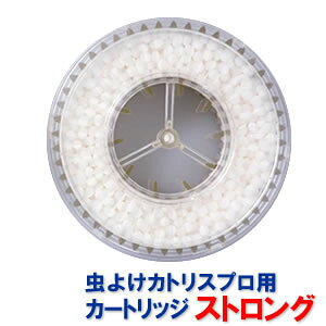 JgX̓Abv! XgO/ 悯JgXv ւJ[gbWkXgOl1 ܂̂ ƖpJgX PRO