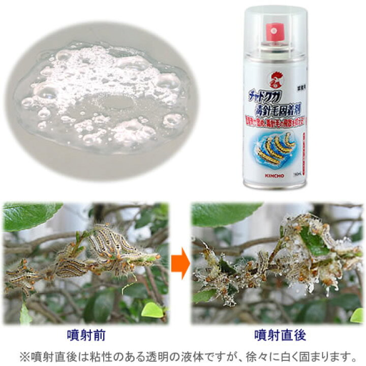 楽天市場 送料無料 お得30本 チャドクガ駆除 チャドクガ毒針毛固着剤 180ml 30本 茶毒蛾 防除 チャドクガ駆除剤 殺虫剤不使用 固める スプレー 虫退治楽天市場店