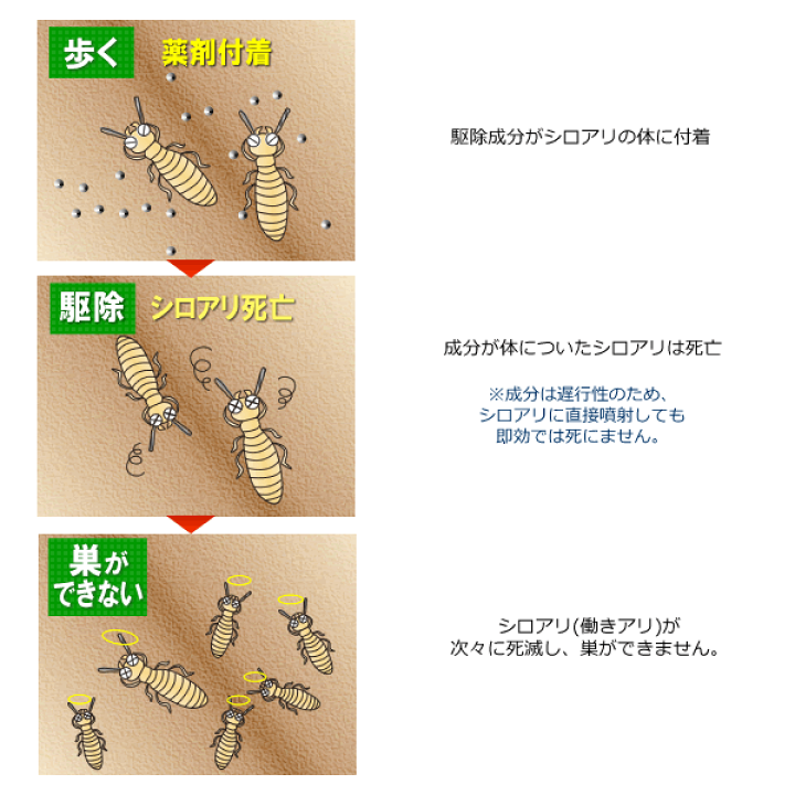 楽天市場】床下のシロアリ予防剤! シロアリハンターエアゾール 200ml 予防+駆除に 換気口から噴射! : 虫退治楽天市場店 楽天市場】床下のシロアリ予防剤! シロアリハンターエアゾール 200ml 予防+駆除に 換気口から噴射! : 虫退治楽天市場店