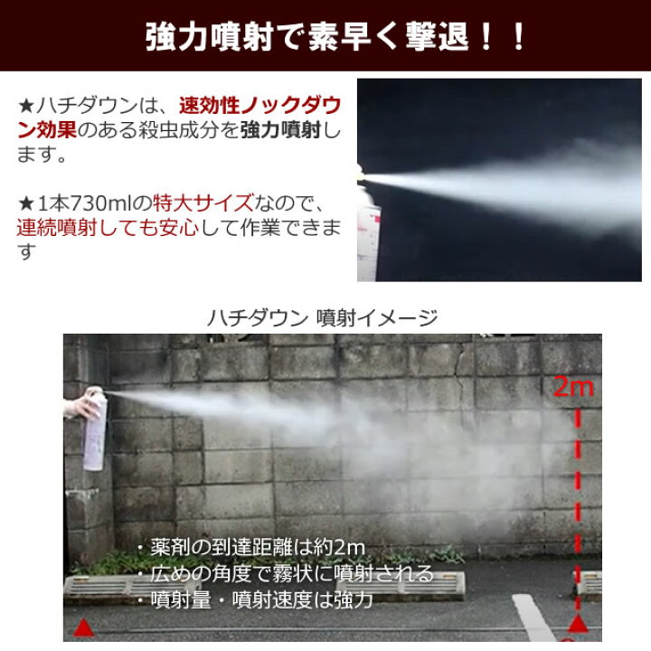 楽天市場】お得な12本箱 ハチダウン 大容量730ml スズメバチ駆除  