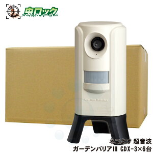 K[foAIII GDX-3×6 L悯 ˂悯 lR ϓ g  N  ΍ Q y