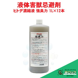 qgf  Qb qgfZkt L 1L×12{  T ގ X  Q CmVV L  P[X̔