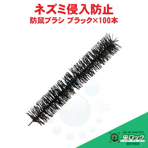 lY~΍puV hluV ubN×100{ huV lY~Nh~ lY~悯  P[X̔