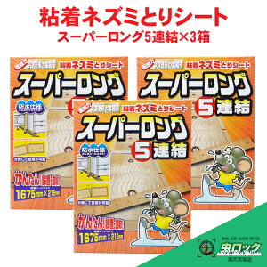 lY~߂ X[p[O5A×3 S V[g  \h h hulY~ N}lY~ ncJlY~