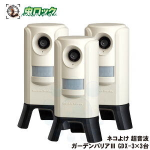 K[foAIII GDX-3×3 L悯 ˂悯 lR ϓ g  N  ΍ Q y